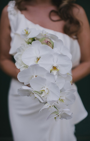 Byron Bay Wedding Florist